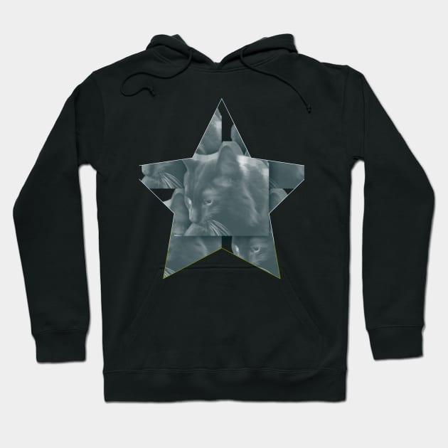 The Cat is the Only Star Hoodie by The Friendly Introverts